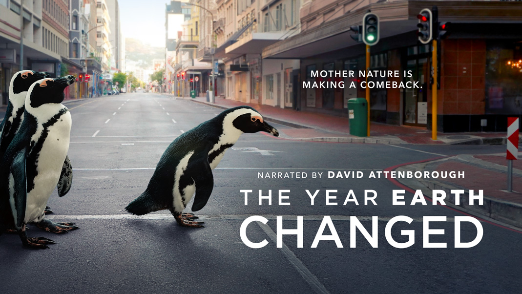The Year Earth Changed Apple TV Plus The Year Earth Changed Apple TV Plus