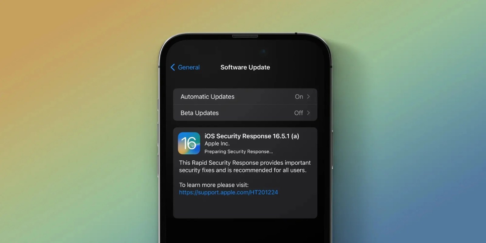 iOS 16.5.1